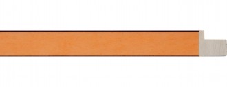 AFS Line Orange Cap